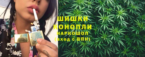 mix Богородицк